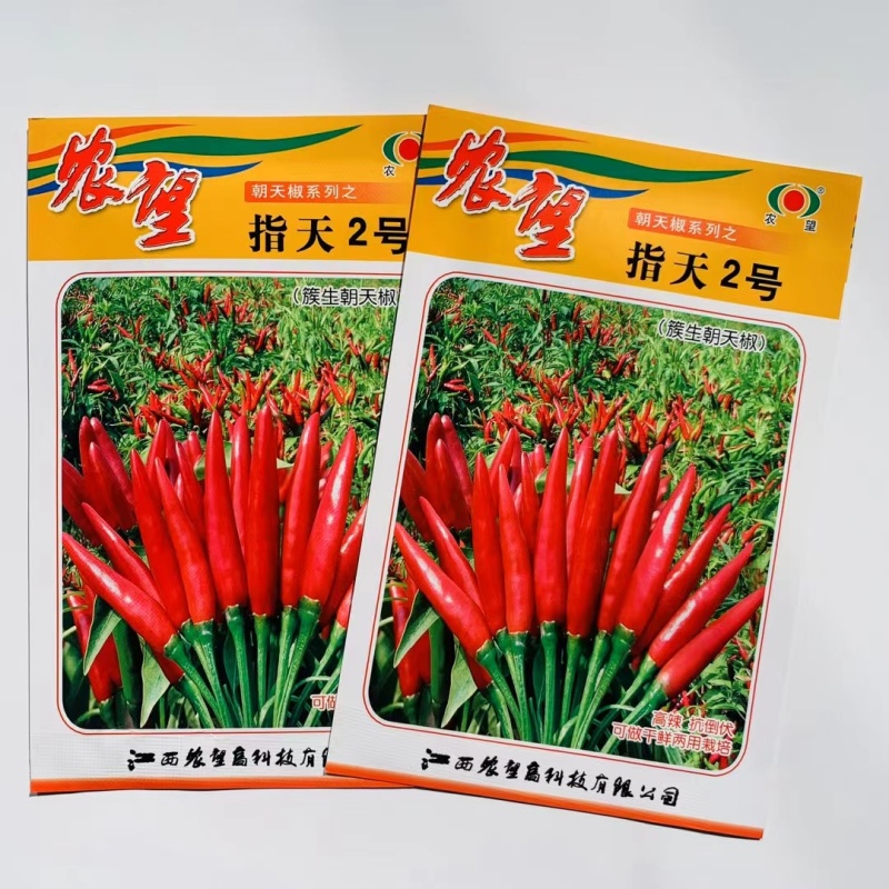 杂交一代簇生朝天椒种子高辣中早熟株型紧凑矮状抗倒伏鲜干两