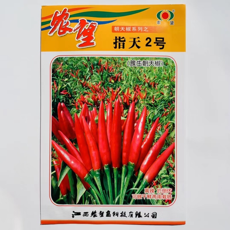 杂交一代簇生朝天椒种子高辣中早熟株型紧凑矮状抗倒伏鲜干两