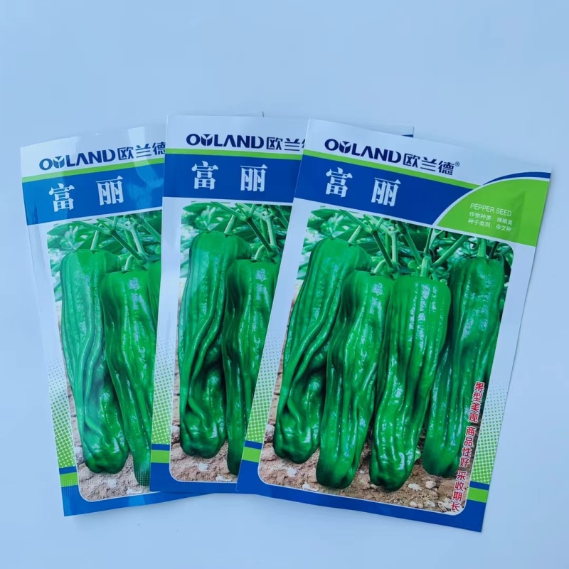 杂交一代早熟辣椒种子膨果速度快坐果能力强果面皱褶