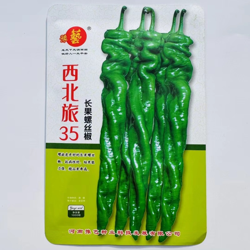 早熟长果型螺丝椒种子连续坐果多产量高辣味香浓抗病性好