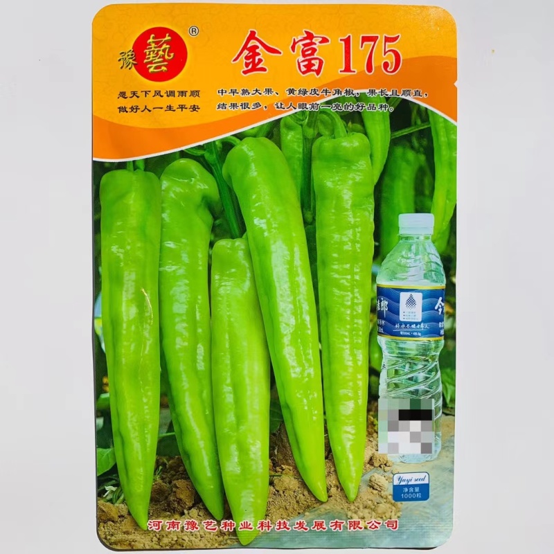 杂交中早熟黄绿皮大果辣椒种子膨果速度快连续坐果能力强抗病