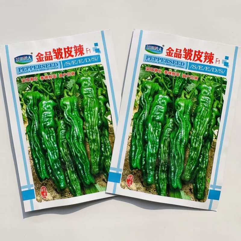 中早熟一代杂交皱皮椒种子薄皮高产抗病口感好商品性佳