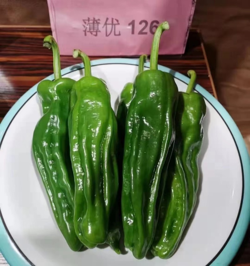 杂交早熟辣椒种子薄皮抗病商品性好产量高口感好