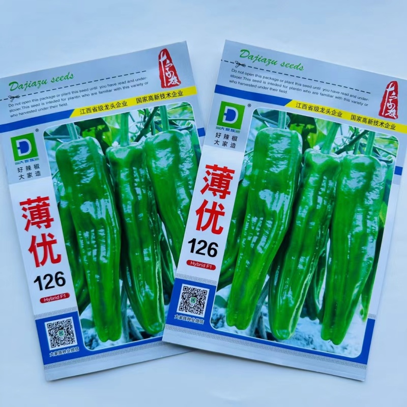 杂交早熟辣椒种子薄皮抗病商品性好产量高口感好