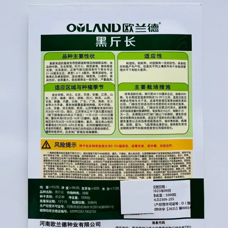 中熟杂交线椒种子椒条顺直基地专用型耐贮运产量高商品性好辣
