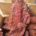 大块肉，里脊，一件70斤，麻辣五香味道齐全老厂货，味好