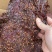 大块肉，里脊，一件70斤，麻辣五香味道齐全老厂货，味好