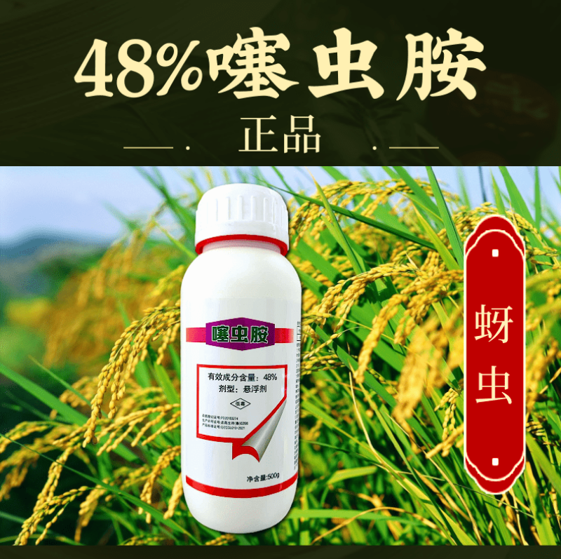 48%噻虫胺蚜虫飞虱韭蛆刺吸害虫烟碱活性内吸触杀杀虫剂