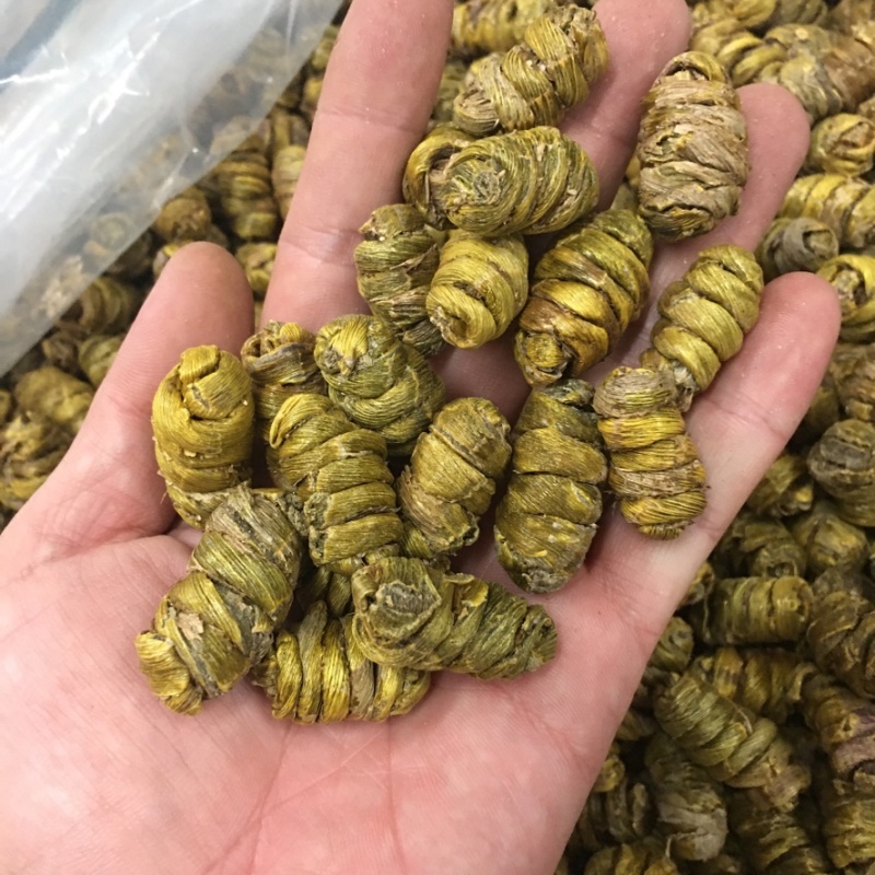 云南铁皮石斛石斛条石斛枫斗石斛花产地货源