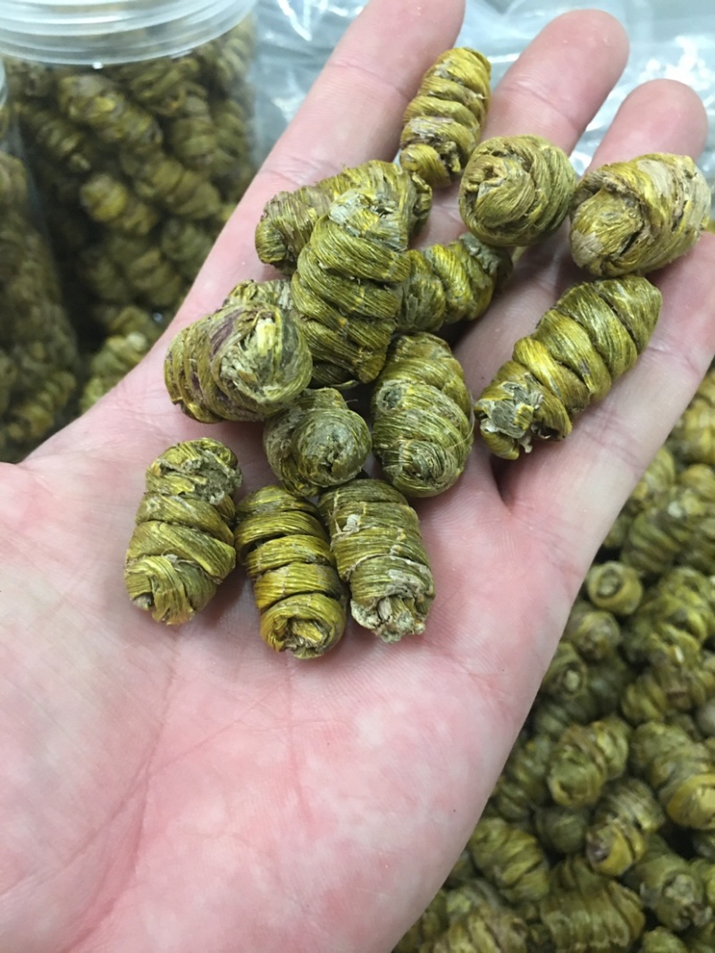 云南铁皮石斛石斛条石斛枫斗石斛花产地货源