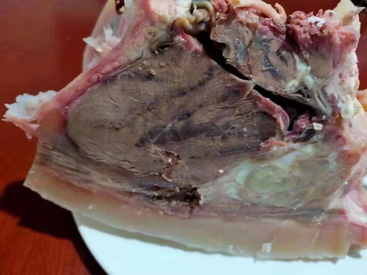 安格斯与西门塔尔牛肉横切面对比图