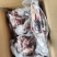 全熟去骨牛头肉摆摊展会跑江湖厂家一手货源下单秒发