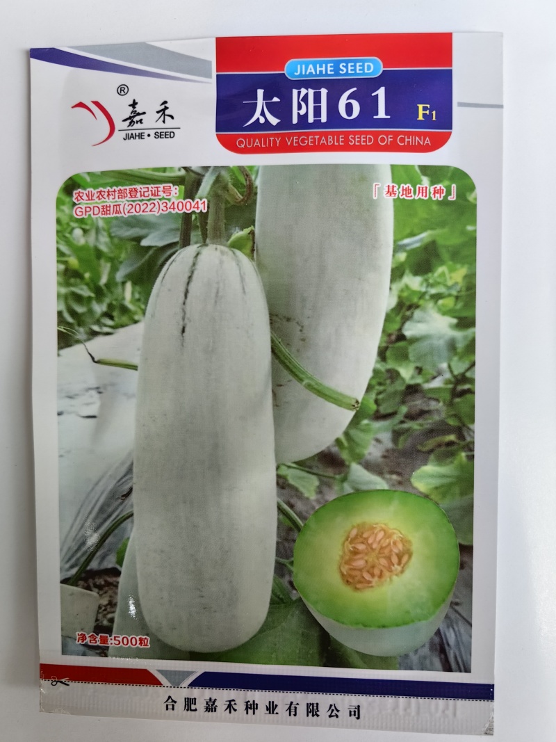 太阳61甜瓜种子甜脆羊角蜜薄皮博洋61羊角酥脆香甜瓜种子