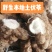 【精选】土伏苓（本地土）/野生货，新鲜无硫，粉质白肉清甜