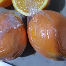 四川南充蓬安锦橙100号柑橘水果应季新鲜橙子现摘现发汁多