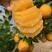 湖北宜昌精品秭归脐橙，产地一手货源，现摘现发，规格多样