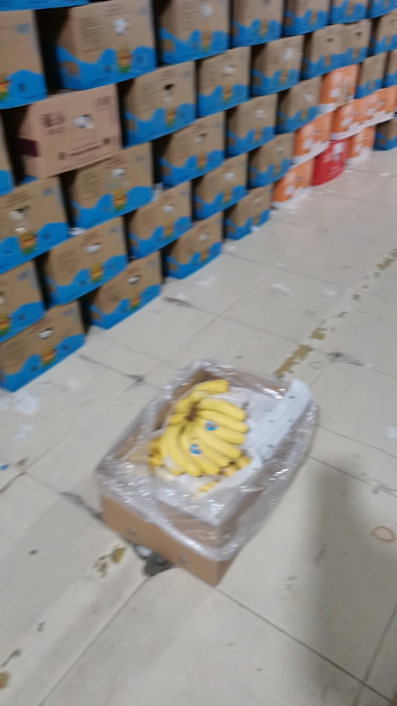 菲律宾进口二级香蕉