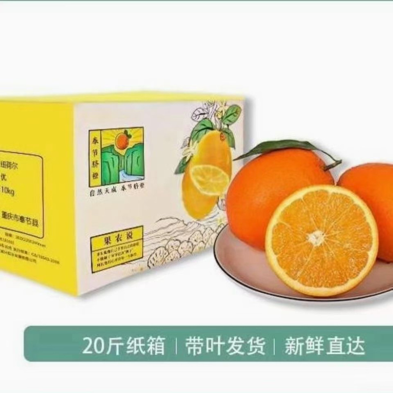 自家种植大户，帮退役老爸销售奉节脐橙，诚心诚意交朋友
