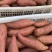 山东临沂精品红薯西瓜红大量上市纯沙土地种植
