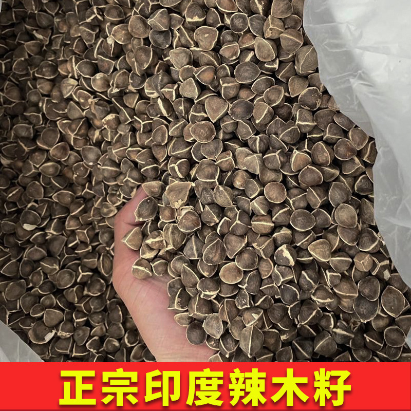 印度辣木籽果辣木子精品大粒多种规格