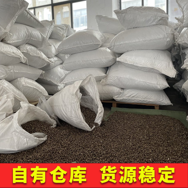 印度辣木籽果辣木子精品大粒多种规格