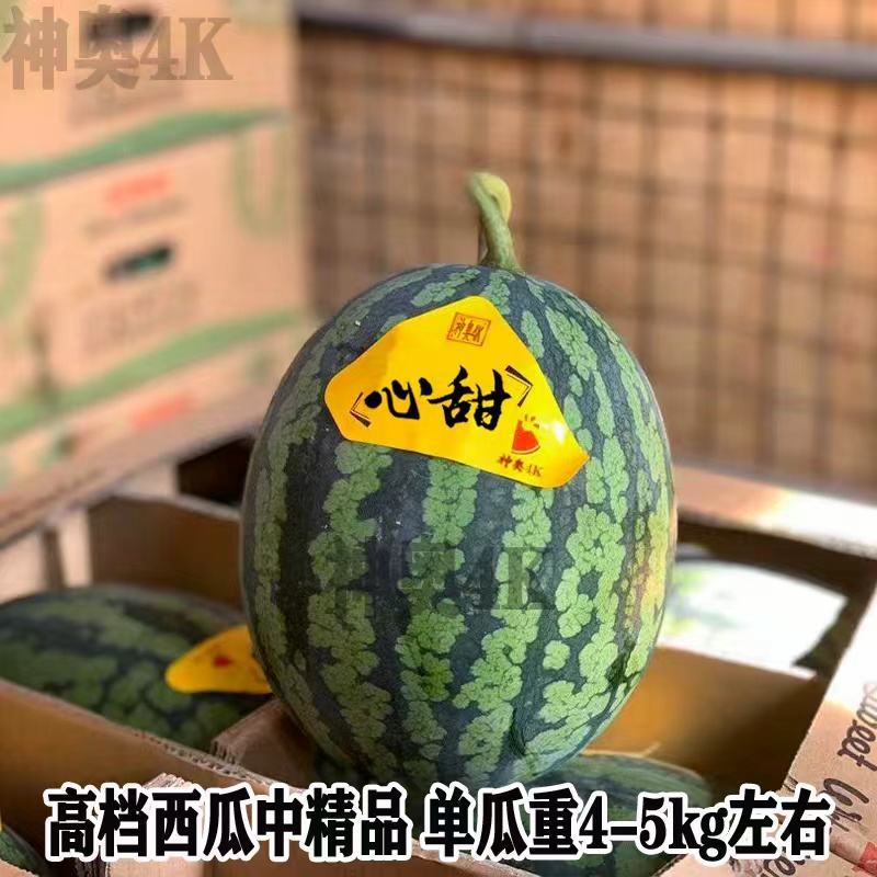 神奥4西瓜品种中熟品种，甜度高红壤品种种子