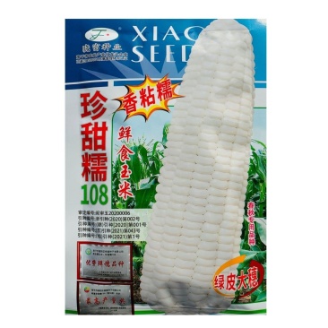 晓富珍甜糯108甜糯玉米种子特大棒基地主打产品耐热高产鲜