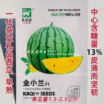 金小兰西瓜种子皮薄甜脆礼品西瓜种籽黄肉小西瓜种子特甜耐裂