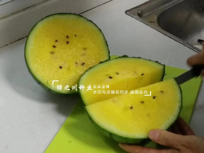 金小兰西瓜种子皮薄甜脆礼品西瓜种籽黄肉小西瓜种子特甜耐裂