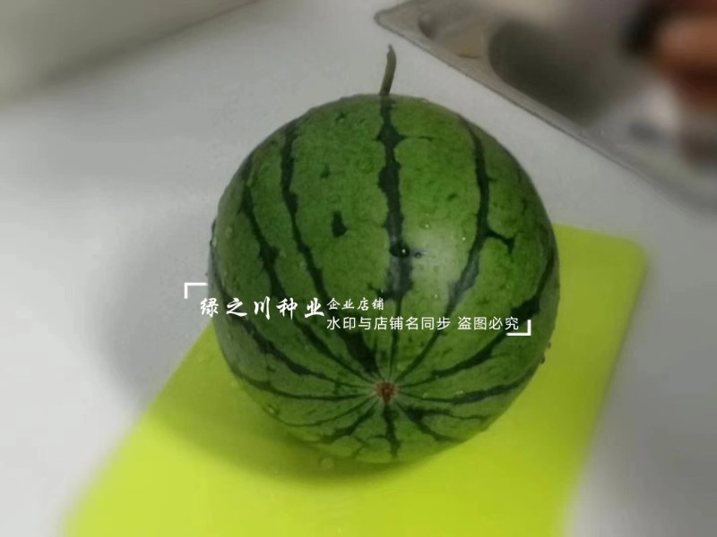 金小兰西瓜种子皮薄甜脆礼品西瓜种籽黄肉小西瓜种子特甜耐裂