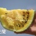 金小兰西瓜种子皮薄甜脆礼品西瓜种籽黄肉小西瓜种子特甜耐裂