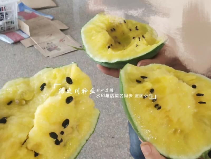 金小兰西瓜种子皮薄甜脆礼品西瓜种籽黄肉小西瓜种子特甜耐裂