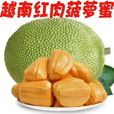 越南红肉菠萝蜜电商一件代发包邮包售后口感纯甜泰8菠萝蜜
