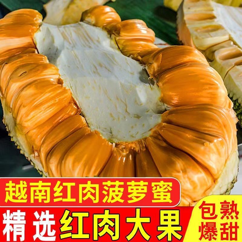 越南红肉菠萝蜜电商一件代发包邮包售后口感纯甜泰8菠萝蜜