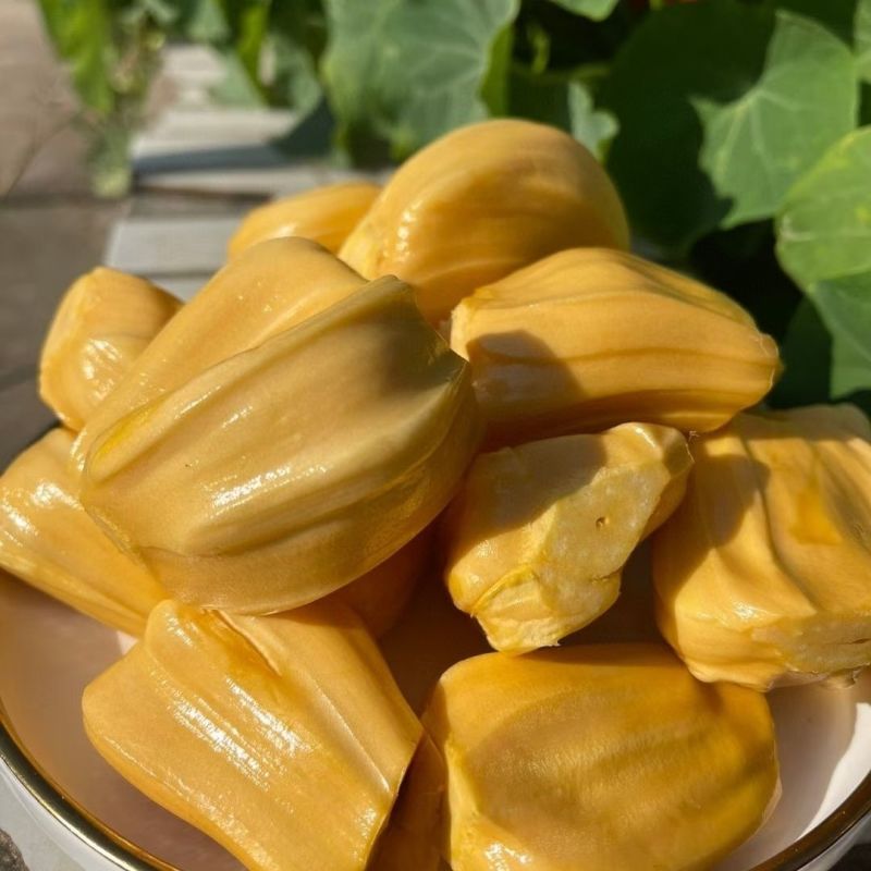 越南红肉菠萝蜜电商一件代发包邮包售后口感纯甜泰8菠萝蜜