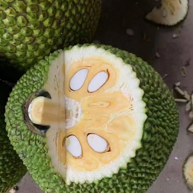 越南红肉菠萝蜜电商一件代发包邮包售后口感纯甜泰8菠萝蜜