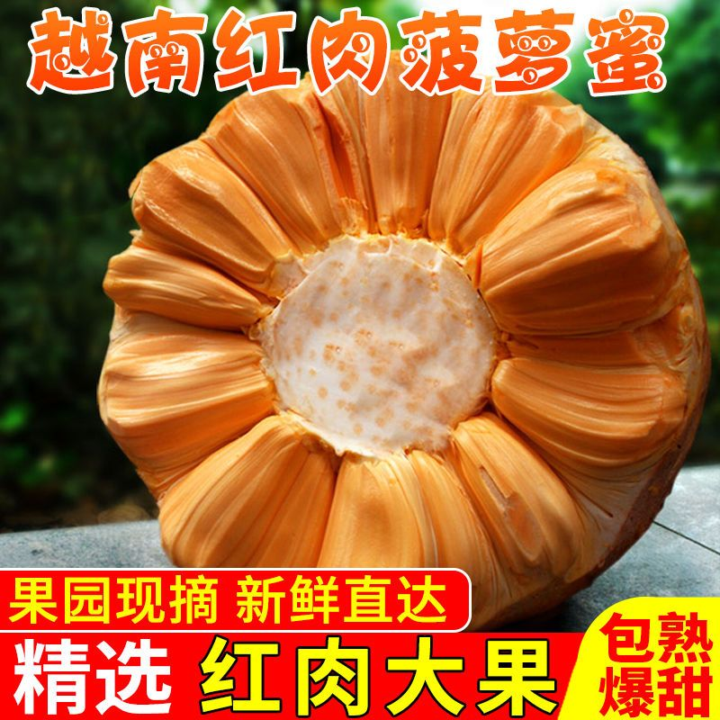 越南红肉菠萝蜜电商一件代发包邮包售后口感纯甜泰8菠萝蜜