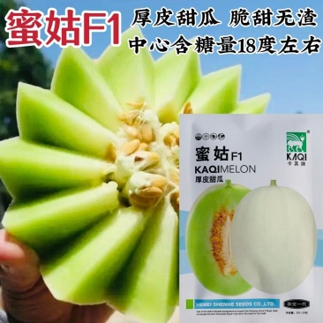 甜瓜种子蜜姑厚皮甜瓜种子中熟果肉橙红色清香甜蜜