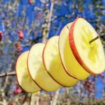 【精品】丑苹果大量现货产地一手货源直发量大价优欢迎采购