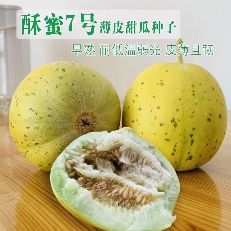 酥蜜7号薄皮甜瓜种子早熟高糖果肉绿色酥脆多汁皮薄且韧