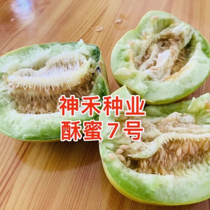 酥蜜7号薄皮甜瓜种子早熟高糖果肉绿色酥脆多汁皮薄且韧