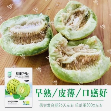酥蜜7号薄皮甜瓜种子早熟高糖果肉绿色酥脆多汁皮薄且韧
