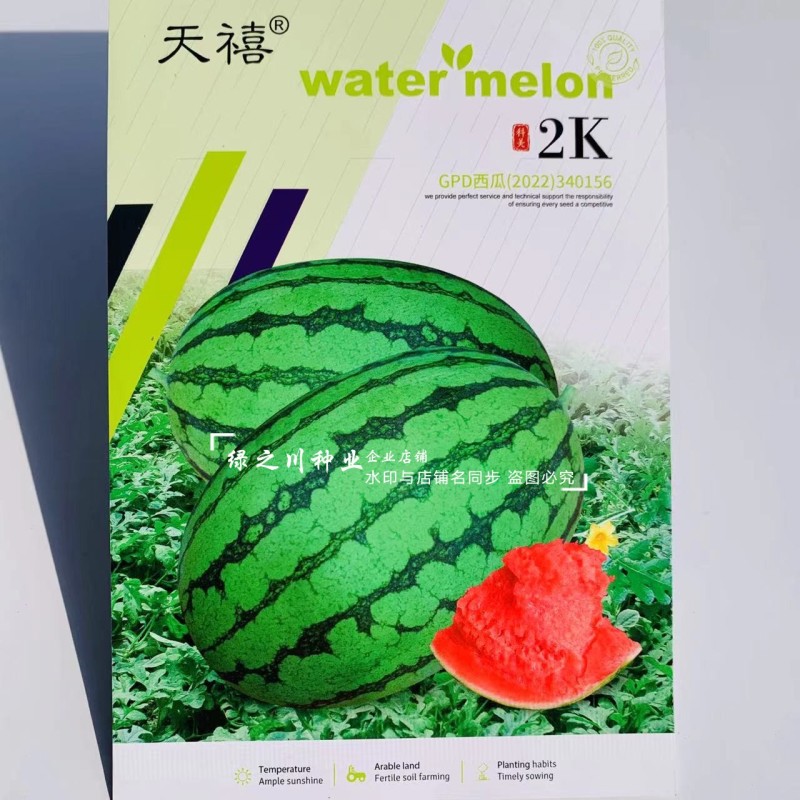 甜美2k西瓜种子高糖礼品西瓜品种早熟椭圆形红肉礼品瓜种籽