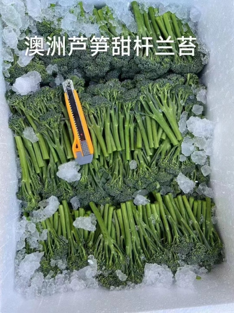 澳洲芦笋甜杆西兰苔产地直达商超直供