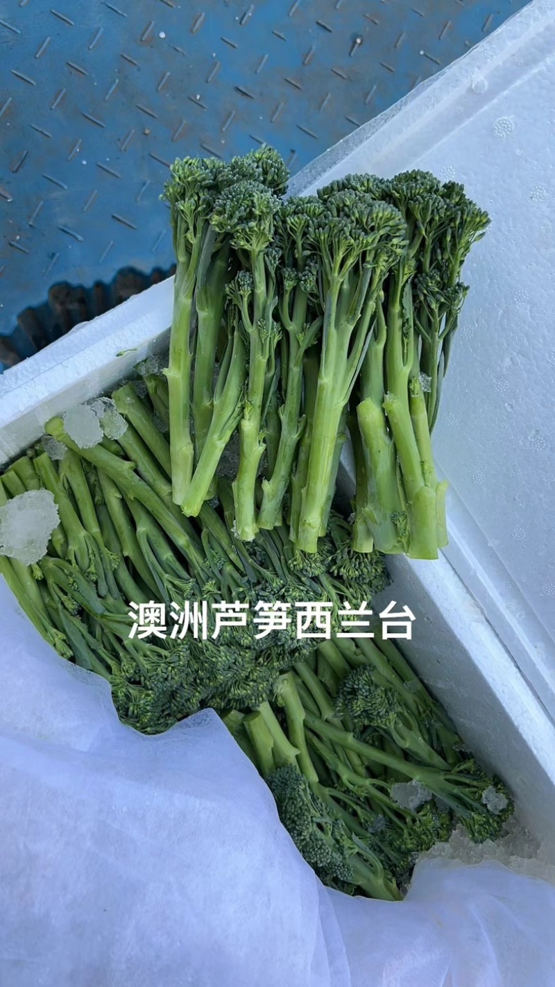 澳洲芦笋甜杆西兰苔产地直达商超直供