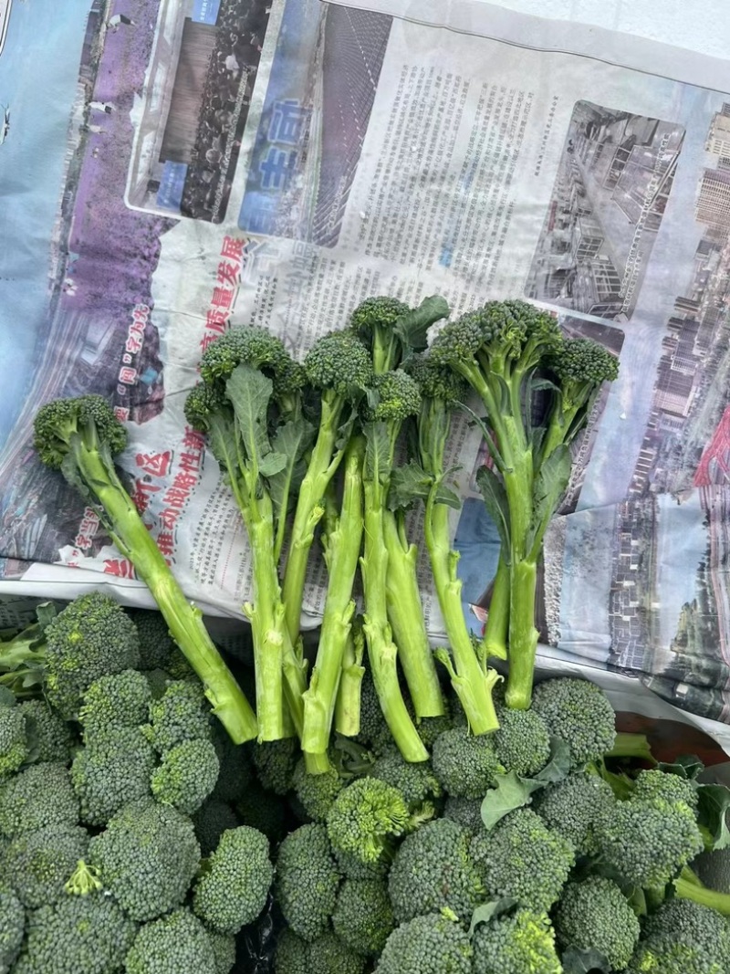 澳洲芦笋甜杆西兰苔产地直达商超直供