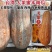 美甜2号南瓜种子大果型蜜本南瓜种子高产优质大果台湾蜜本南