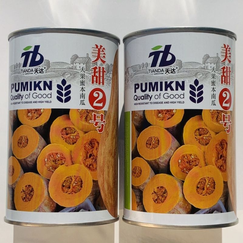 美甜2号南瓜种子大果型蜜本南瓜种子高产优质大果台湾蜜本南