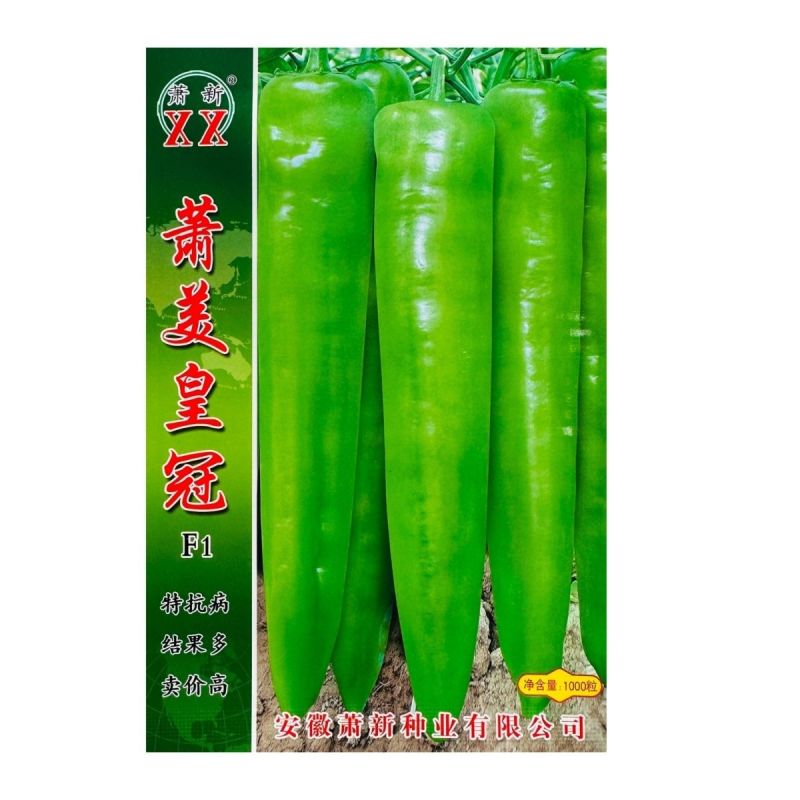 萧美皇冠辣椒种子黄绿皮尖椒种子早熟特抗病结果多采收期长后