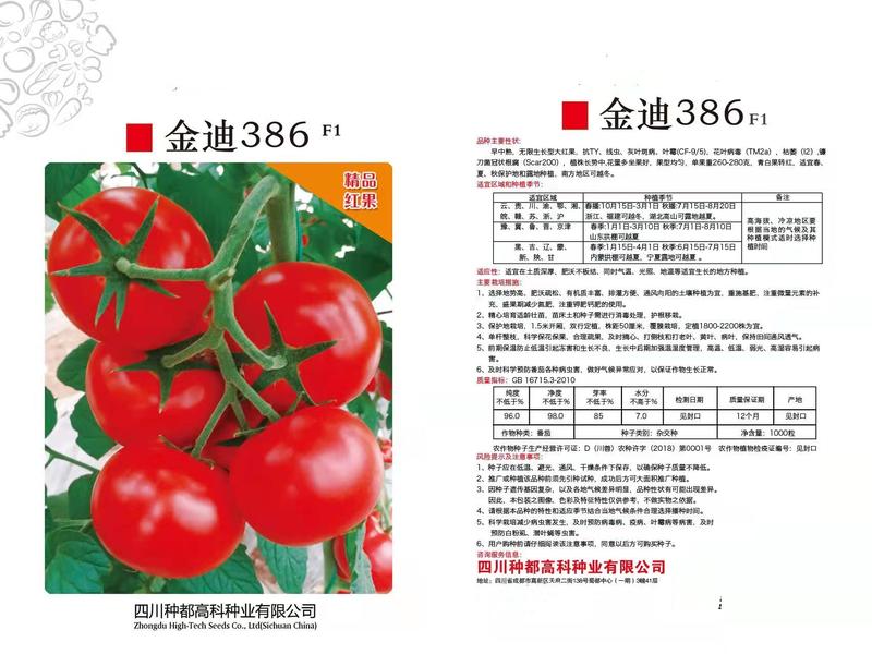 金迪386红果西红柿种子番茄种子春夏秋栽培
